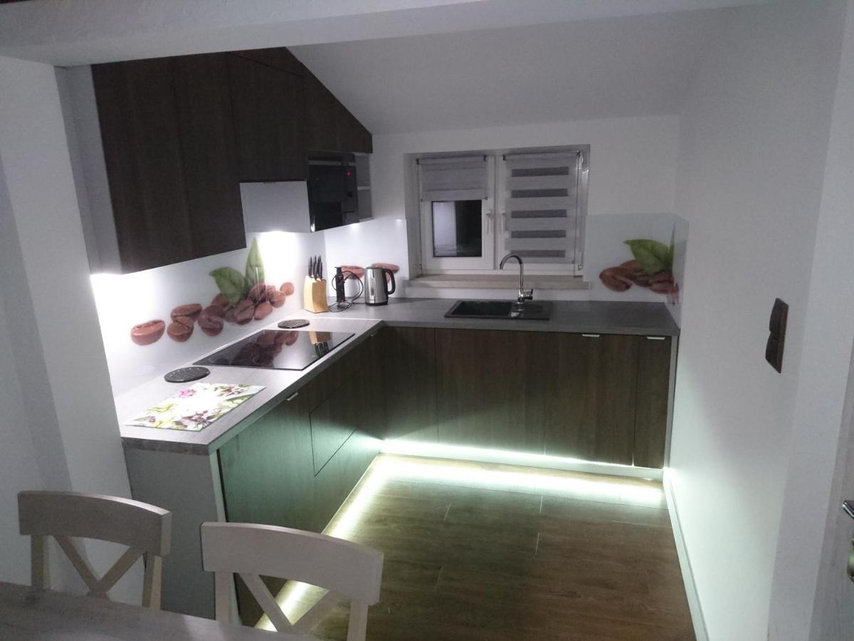 Apartament Elbrus Czyrna Szczyrk Wypozyczalnia Rowerow E-Bike Czyrna Szkola Narciarska & Wypozyczalnia Ski Serwis Экстерьер фото