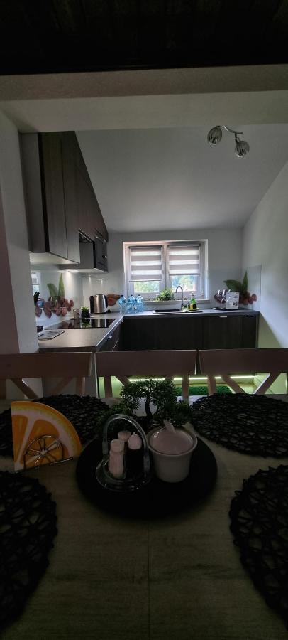 Apartament Elbrus Czyrna Szczyrk Wypozyczalnia Rowerow E-Bike Czyrna Szkola Narciarska & Wypozyczalnia Ski Serwis Экстерьер фото